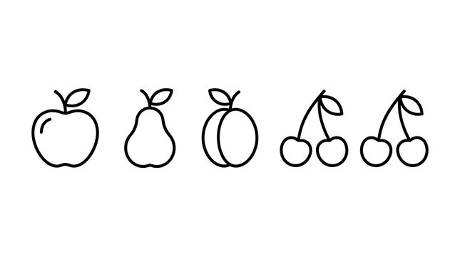 Simple line drawing of four different fruits icon set