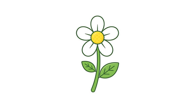 Simple cartoon daisy flower illustration