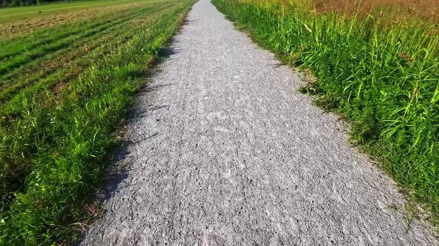 Downward Perspective Walking Along Gravel Trail Separating Lush Cornfield and Harvested Ground, Novate Milanese, Italy - POV VIDEO - NO AUDIO
