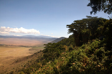 Bewaldeter Kraterrand und weite Ebene im Ngorongoro-Krater © Jane Be. The Picture