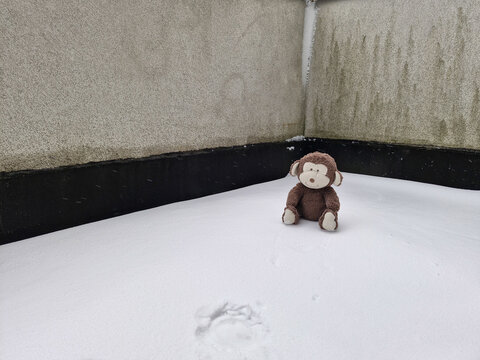 Cute plush monkey toy sitting in fresh snow outdoor in winter
