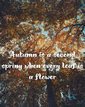  Autumn inspiration quote on golden fall trees background looking up
