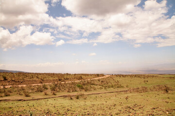 Trockene Hochlandlandschaft mit Feldwegen am Ngorongoro-Krater © Jane Be. The Picture