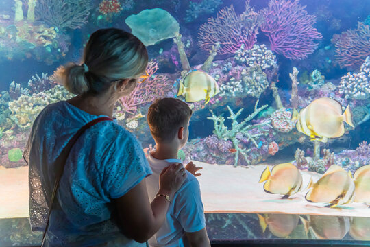 Mother and Son Watching Fish in oceanarium Large Aquarium Tank Together 