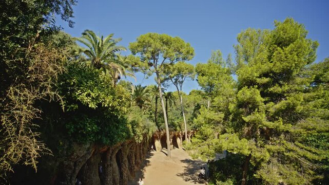 Lush Mediterranean Landscape at Park Guell Barcelona Spain