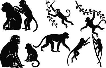 Obraz premium Collection of black silhouette monkey illustrations in various playful poses and actions