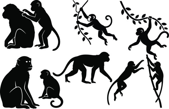 Collection of black silhouette monkey illustrations in various playful poses and actions