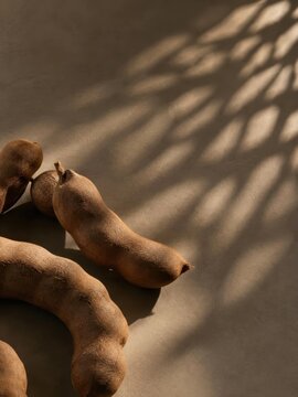 Tamarind pods lie gently on a flat surface, their unique shapes casting intricate shadows that dance under the soft light within a simple, yet captivating setting