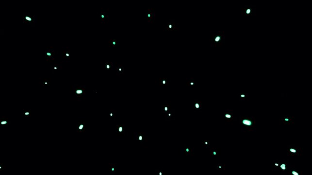 Acid-lime luminous dashes drift diagonally through pure black space in a clean minimal seamless neon background.
