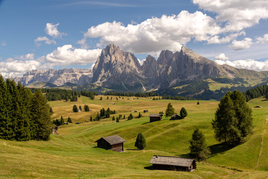 Seis, Italy - August 26, 2026 Wooden cabins on the Seiser Alm meadows