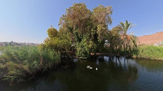 Un bonito paisaje que representa la vida en el Nilo pasando por Egipto