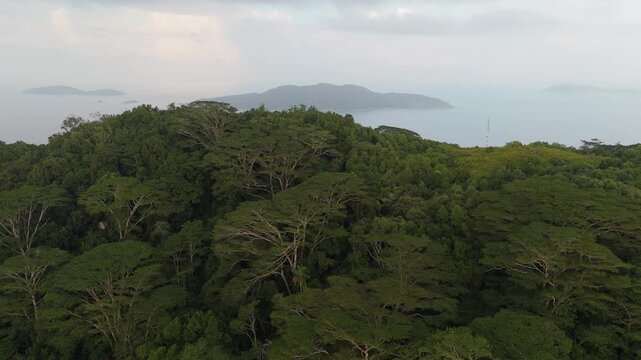 Aerial view of the lush tropical forest canopy covering the island landscape with dense green trees and distant ocean views in Anse Reunion, La Digue, Seychelles.