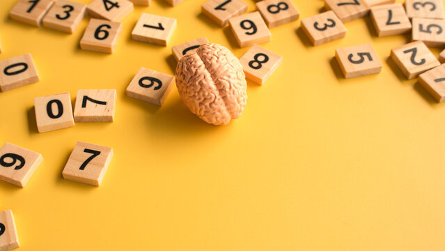Human Brain Model Resting Near Wooden Number Tiles on Bright Yellow Surface