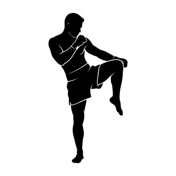 Silhouette fighter kick block stance shows aggressive combat pose