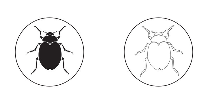 Black and white beetle vector illustrations presented in circular frames