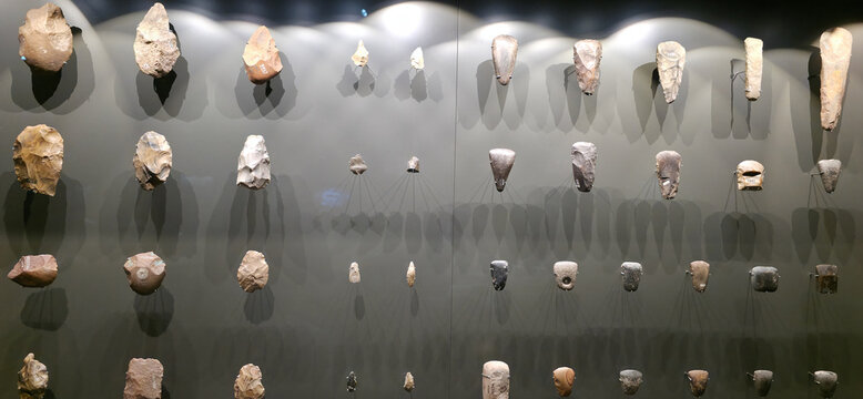 Palaeolithic Stone Tool Collection Display
