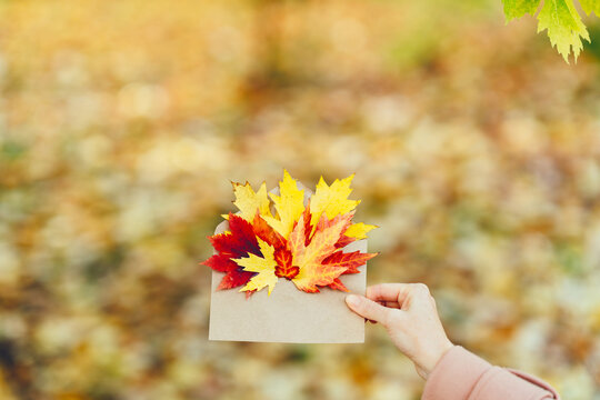 Woman holds an envelope with autumn leaves against the backdrop of an autumn park, autumn concept. Letter with leaves. Autumn message