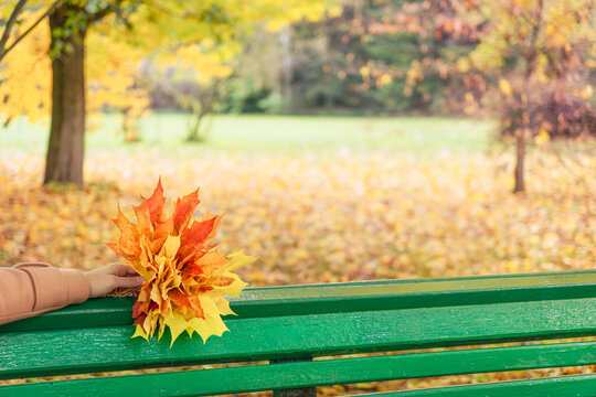 A green bench in an autumn park. A woman sitting on the bench holds a bouquet of orange maple leaves. A calm mood, an autumnal atmosphere. Bright yellow leaves on the trees. Silence and tranquility