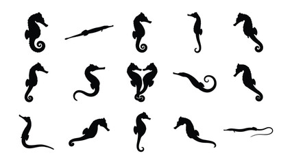 Seahorse Silhouettes Collection: A curated collection of seahorse silhouettes in various poses, showcasing their unique aquatic charm and elegance, presented as graphic elements. © Hasina