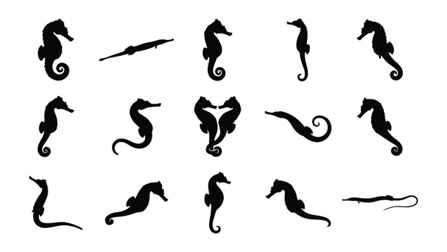 Seahorse Silhouettes Collection: A curated collection of seahorse silhouettes in various poses, showcasing their unique aquatic charm and elegance, presented as graphic elements.