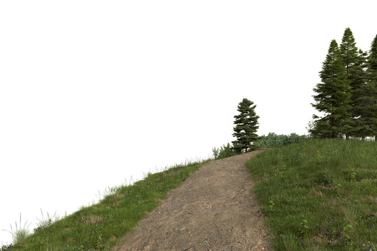 A scenic dirt hiking trail winding through a lush grassy meadow leading towards a dense forest edge isolated