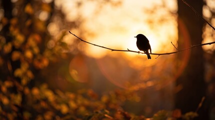 Fototapeta premium A bird silhouette sitting on a branch against a warm sunset backdrop. Concept of tranquility and nature, suitable for themes like wildlife, serenity, and autumn. Generative AI.