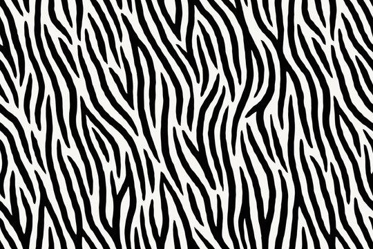 Black And White Zebra Pattern Design Texture Background