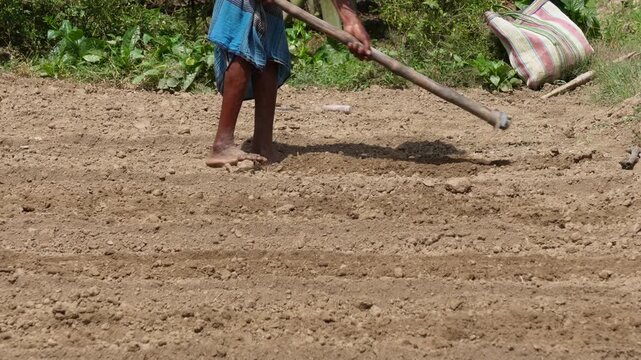 Farmer preparing agricultural land for crop cultivation