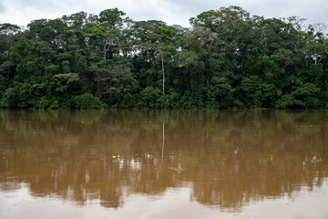 Sangha river in Congo basin © tomjunek.com