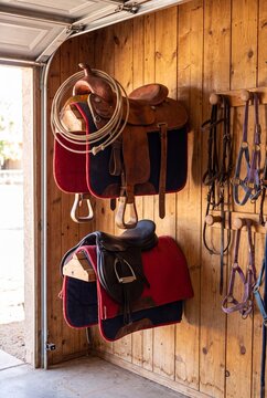 Western and Child English Saddles on Wooden Wall Racks With Bridles