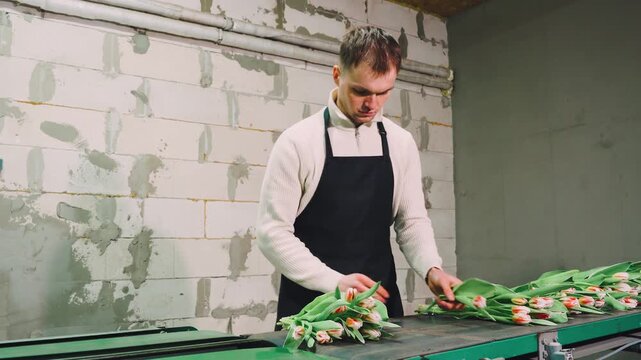 Young florist arranging tulip bundles on green conveyor inside utilitarian workshop with exposed pipes, unfinished wall, soft light, and small business floral production mood