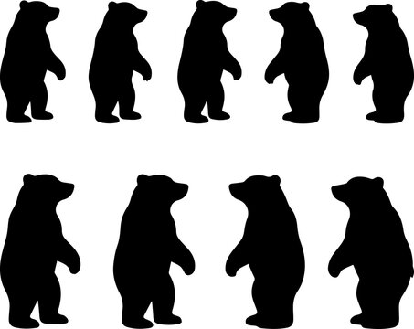 Bear Silhouette Standing Wild Animal Isolated Black Shape Nature Illustration