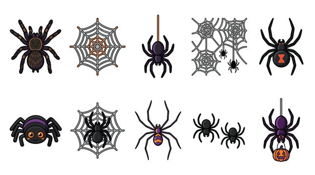 Halloween spider vector graphic illustration set featuring creepy tarantulas and scary webs