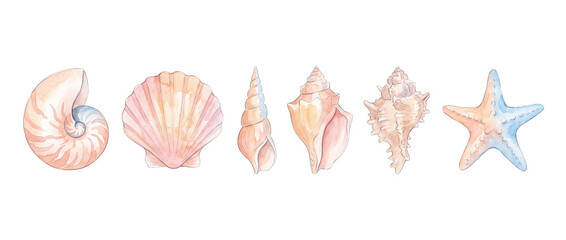 Naklejka premium Watercolor seashells set sea shells collection featuring nautilus scallop conch starfish illustrations on black background for summer marine ocean beach design element banner craft watercolor art