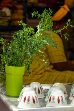 Tena Adam leaves in a market cup, Harar, Ethiopia