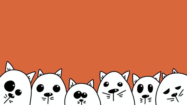 Cute Animated White Cats Blinking and Peeking Up On Orange Background