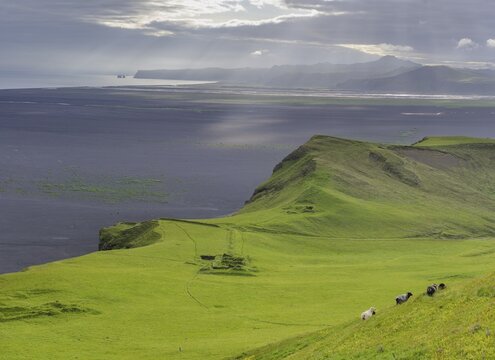 Old farmstead at Hj&ouml;rleifsh&ouml;fdi (Viking grave), M&yacute;rdalur, Su&eth;urland, Iceland