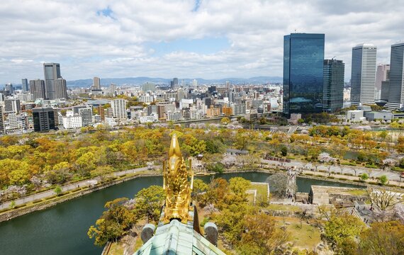 City view with skyscrapers and Osaka Castle Park with cherry blossoms, view from Osaka Castle with golden Shachihoko fish dragon figure, Chuō-ku, Osaka, Japan