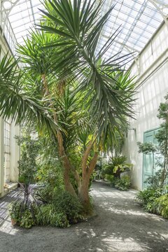 Palm House, Kroměř&iacute;ž, Zl&iacute;nsk&yacute; kraj, Czech Republic