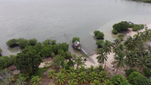 Aerial view of a small stilt house on the coast of Batam Island surrounded by lush palm trees and mangroves in calm coastal waters Batam, Riau Islands, Indonesia.