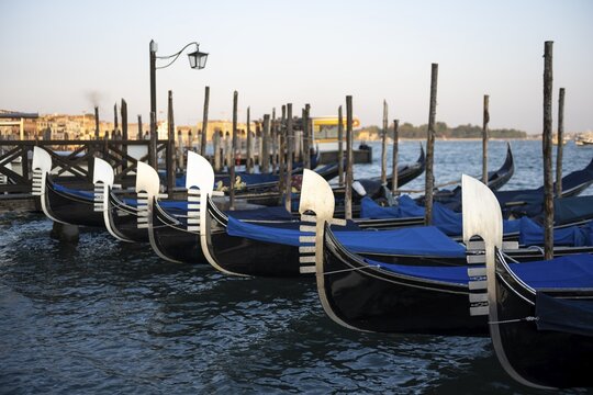 View of Venetian gondolas, boat dock at St. Mark's Square, San Giorgio Maggiore church in the evening light, Venice, Veneto, Italy