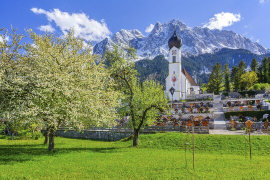 Spring meadow with blossoming trees and parish church in front of the Gro&szlig;er Waxenstein 2277m in the Wetterstein range, Zugspitz village Grainau, Werdenfelser Land, Bavarian Alps, Upper Bavaria, Bavaria, Germany