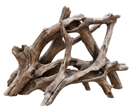 Intricate driftwood formation with natural artistic structure against white background