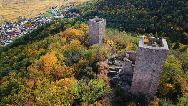 Aerial view of the Trois Chateaux d'Eguisheim castle ruins nestled in a vibrant autumn forest with the village of Eguisheim in the background, Eguisheim, Grand Est, France.