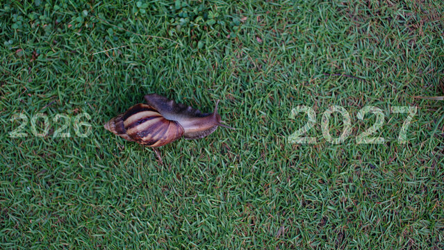 A snail moves across a lush green lawn, traveling from the number 2026 to 2027&mdash;a concept symbolizing the business world and the transition into the new year.