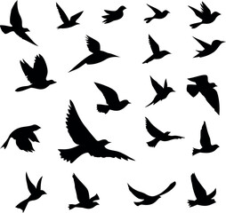 Fototapeta premium Flock of Flying Birds Black Silhouette Vector Icon Set Featuring Diverse Avian Species in Motion Isolated on a White Background