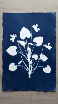 Wild Violet Heart Leaf Plant Cyanotype Print Botanical Blueprint Blue Wall Art
