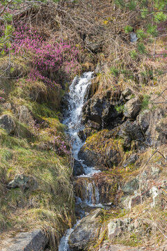 Small River Stream Cascading Waterfall Flow Over Rocky Terrain Balkans Spring