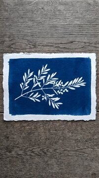 Horizontal Olive Leaf Branch Cyanotype Blueprint Botanical Wall Art Decor