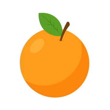 Minimalist Orange Fruit Vector Illustration for Healthy Food, Fresh Produce, Nutrition and Kitchen Design